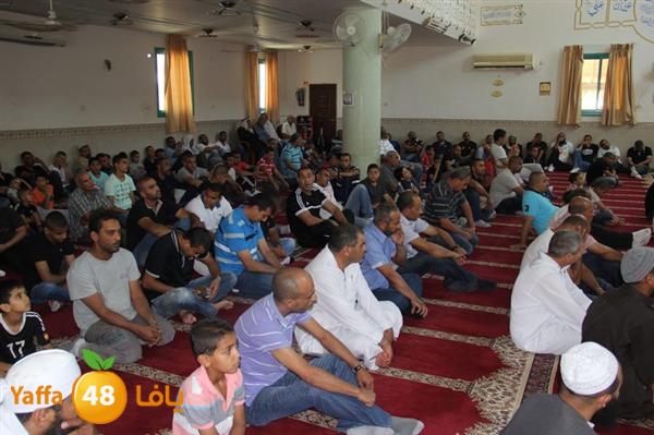 mayef abo ganem 0524 (12).JPG